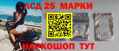 крисы Дубна