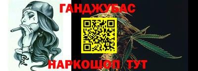 крисы Дубна