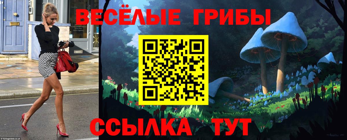 Галлюциногенные грибы прущие грибы Люберцы